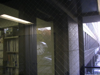 005.JPG