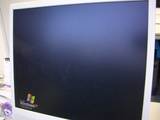 010.JPG