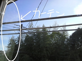 1001.jpg