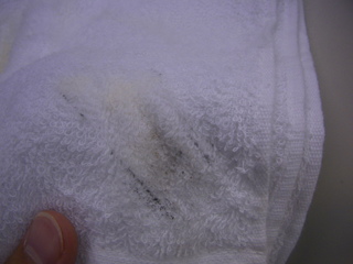 PIC_2369.JPG